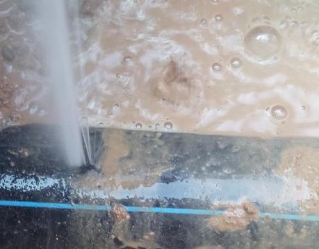 社旗卫生间防水哪家好